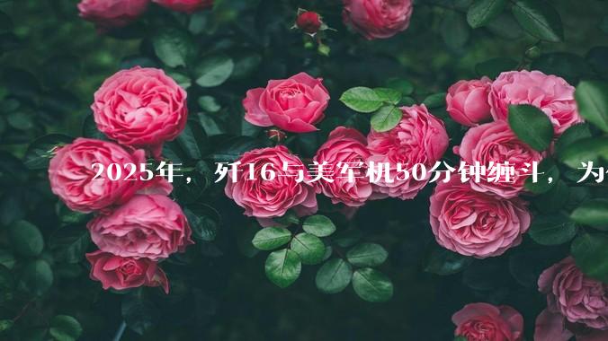 2025年，歼16与美军机50分钟缠斗，为什么知乎上没有任何消息？